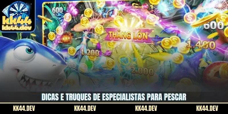 Dicas e truques de especialistas para pescar